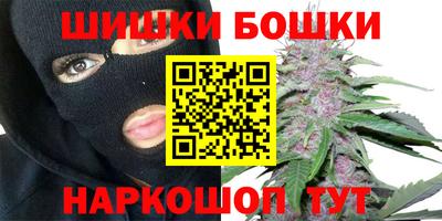 PSILOCYBIN Заводоуковск