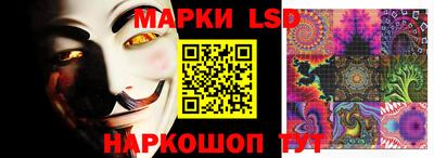 PSILOCYBIN Заводоуковск