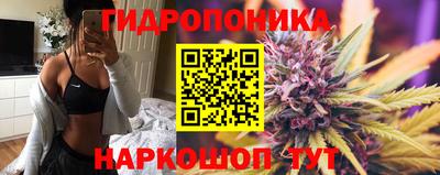 PSILOCYBIN Заводоуковск
