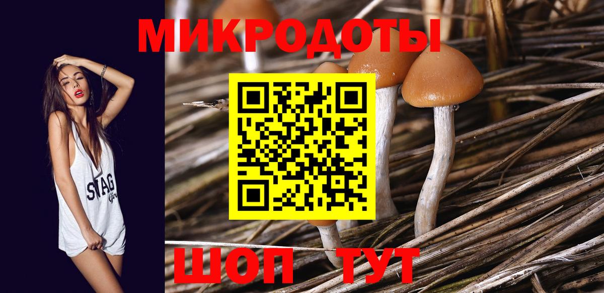 Псилоцибиновые грибы Magic Shrooms  Вход с VPN  Луга 
